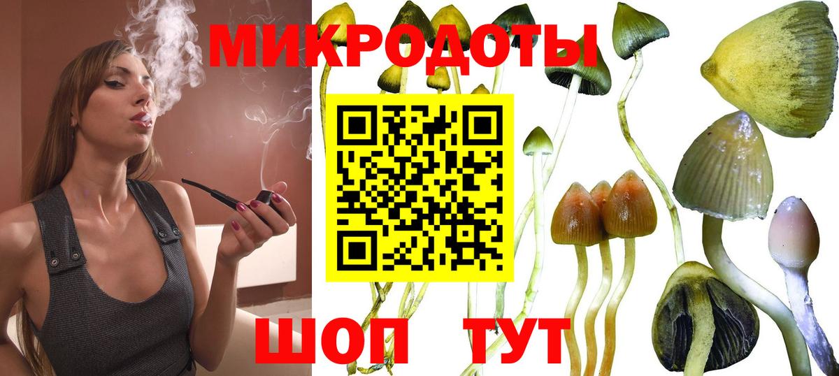 Псилоцибиновые грибы ЛСД  Галлюциногенные грибы ЛСД  Алатырь  Вход с VPN 